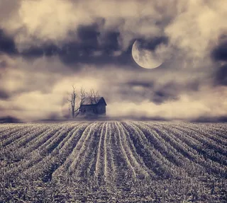 夜幕下的农田庄稼图片