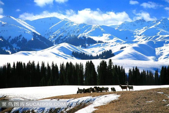 南山雪景图片素材