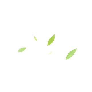 几片树叶飘在空中png免抠