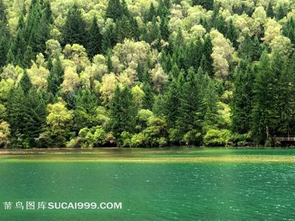 九寨沟美丽的湖水旅游风光图片素材