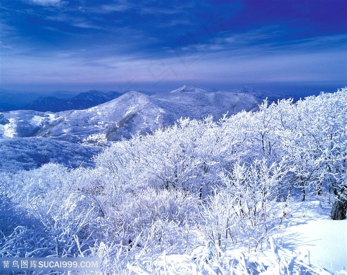 高山森林自然风景雪景