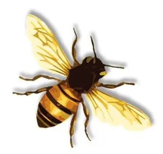 蜜蜂免抠