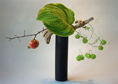 艺术感插花图片 艺术感插花图片