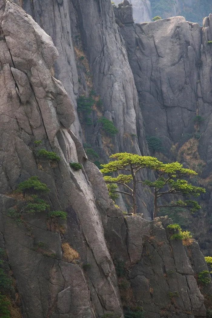 安徽黄山风景图片-第106张