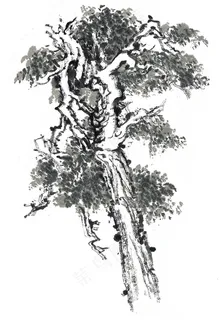 树木艺术绘画jpg素材 树木艺术绘画jpg素材