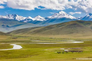 高原草地风景图片