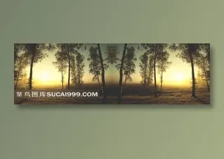 迷幻的森林透着一层梦幻的感觉