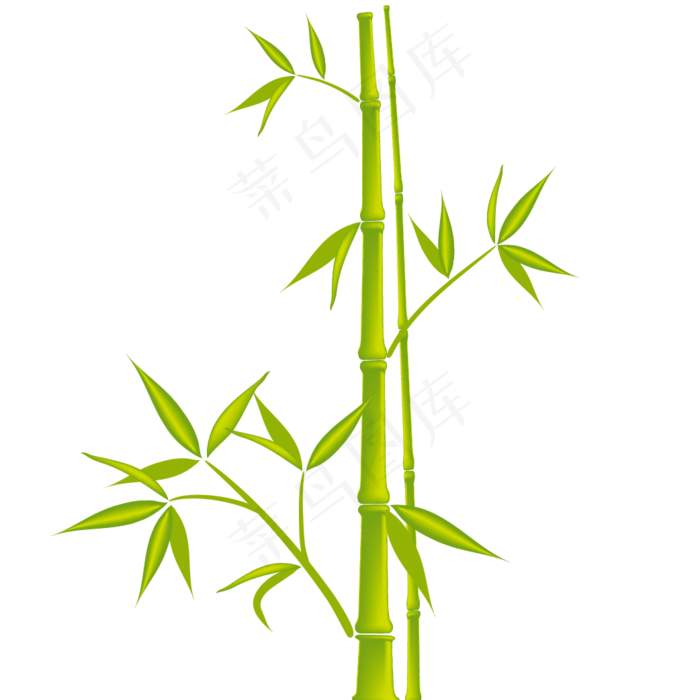 免抠实物竹子摄影图透明图层