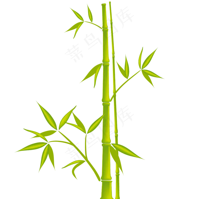 免抠实物竹子摄影图透明图层