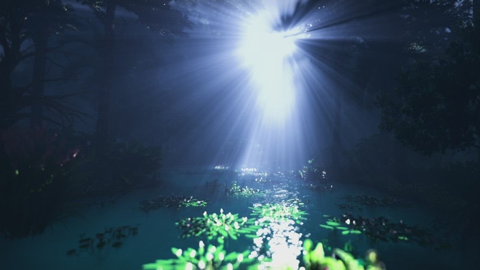 强烈体积光下丛林中的河流