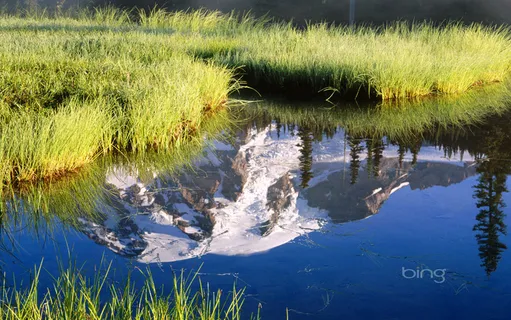 高清壁纸湖水和草地