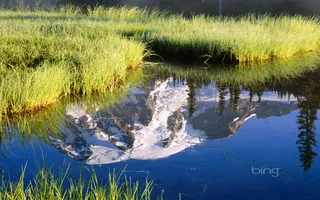 高清壁纸湖水和草地