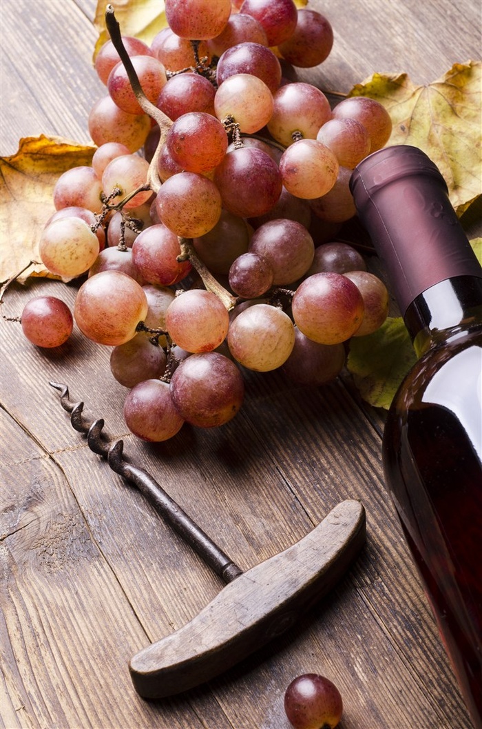 一瓶红酒和葡萄