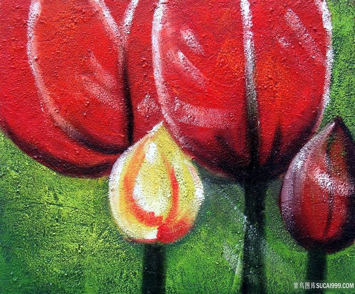 唯美静物花束插画