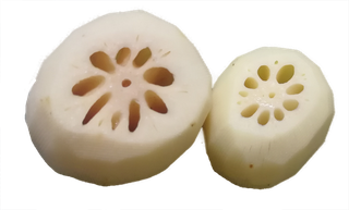 莲藕白花藕去皮免抠元素素材