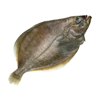 鱼类(32)海鲜超市商品红酒白底图免抠实物摄影png格式图片透明底