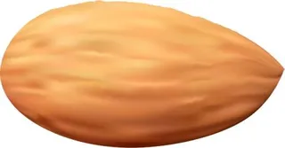 杏仁 PNG免抠
