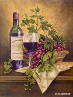 葡萄酒静物水果插画