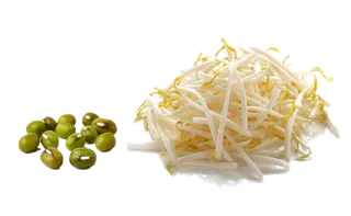 绿豆芽 (4)超市商品白底图免抠实物摄影png格式图片透明底