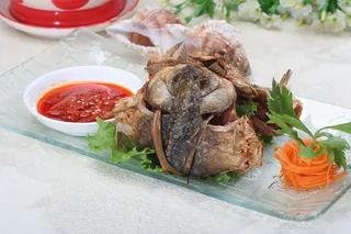 荷包鲫鱼 6元条