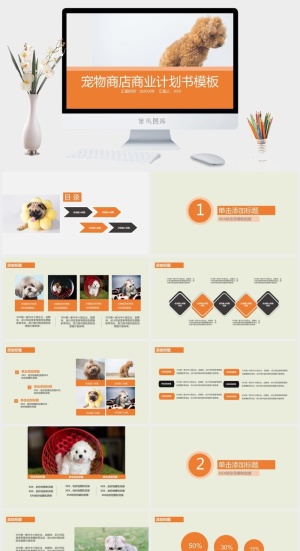 商业策划PPT预览图