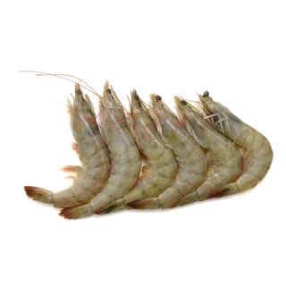 虾类(7)海鲜超市商品红酒白底图免抠实物摄影png格式图片透明底