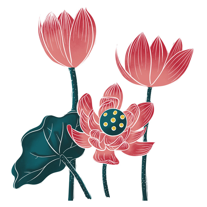 国潮中国风手绘荷花莲花荷叶莲藕植物花卉装饰插画PSD设计素材