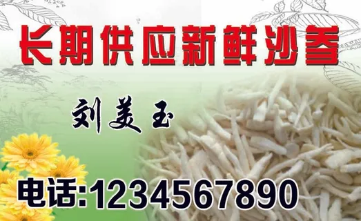 新鲜沙参名片