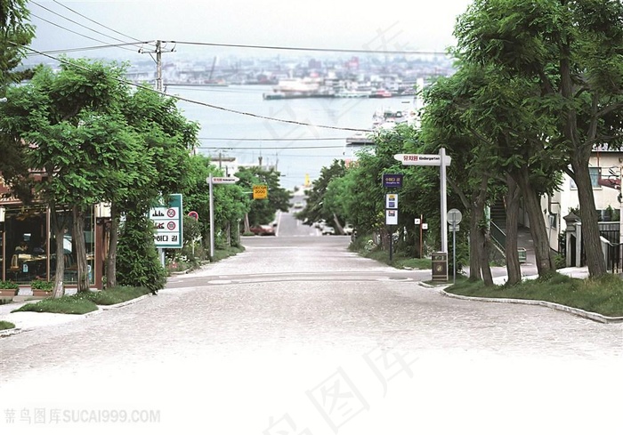 大树道路风景画