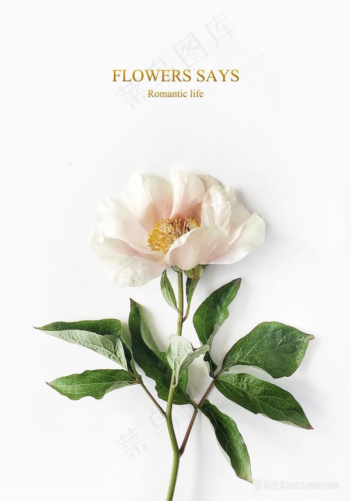 唯美花束艺术装饰画