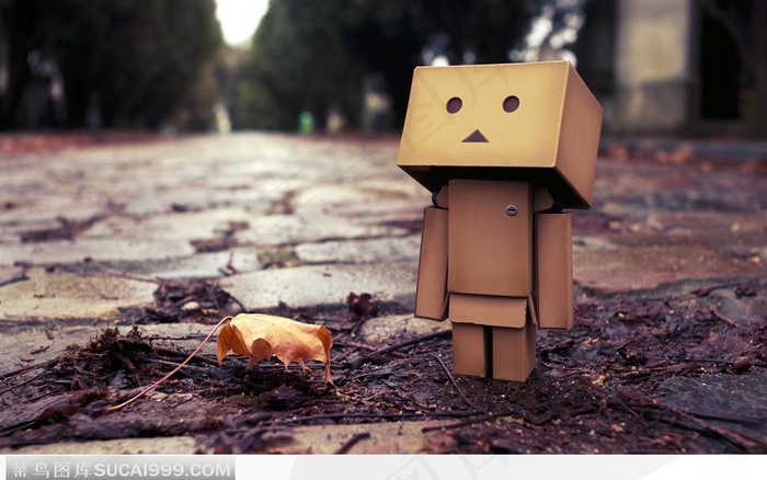 街道上仰头看着天的纸盒人