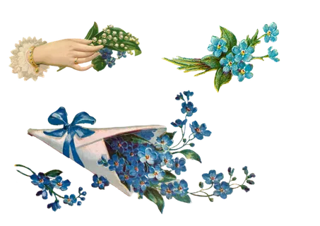 三色堇 老的 优质的 剪纸 孤立 透明