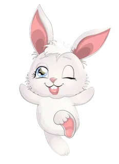 粉红兔兔年