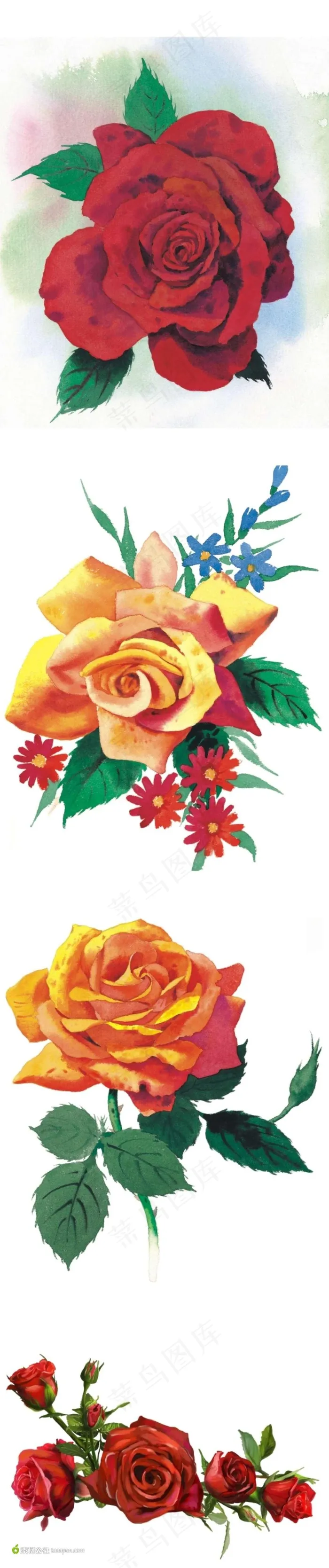 手绘玫瑰花素材