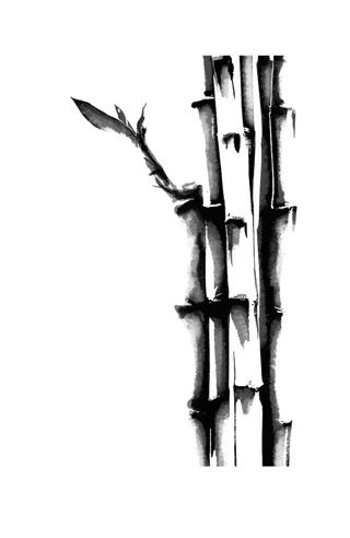 竹子水墨画中国风国画墨水书法竹子画