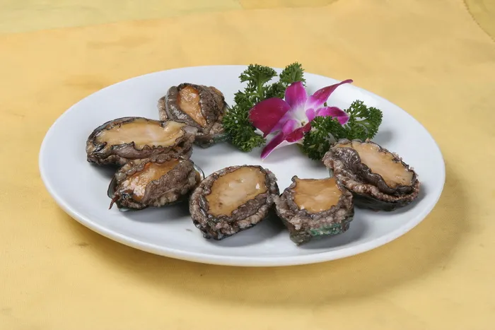 鲍鱼