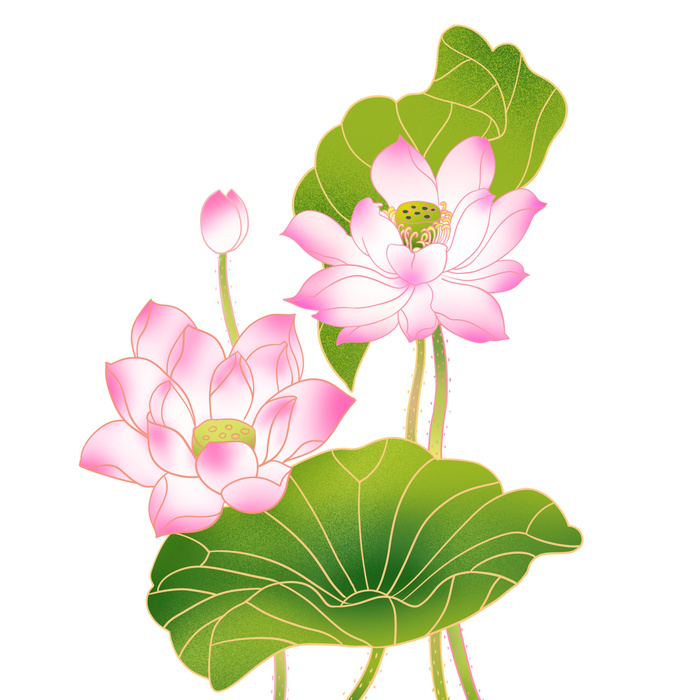 国潮中国风手绘荷花莲花荷叶莲藕植物花卉装饰插画PSD设计素材psd模版下载
