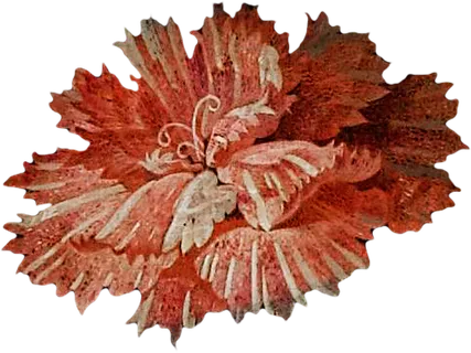 复古油画质感宫廷花卉植物花朵鲜花拼贴图案PNG免抠图片设计素材