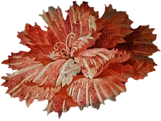 复古油画质感宫廷花卉植物花朵鲜花拼贴图案PNG免抠图片设计素材