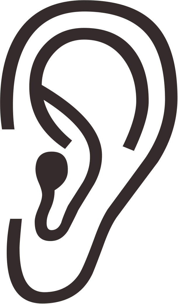 耳朵  耳朵  耳朵