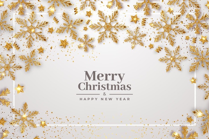 圣诞节圣诞树圣诞老人闪亮装饰电商促销折扣海报