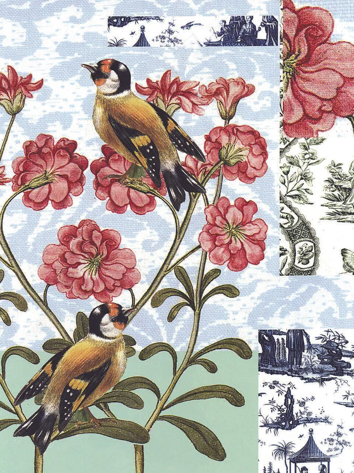 花鸟树枝高清艺术插画