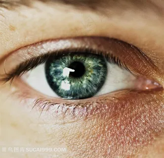 人的眼睛高清图片 人的眼睛高清图片
