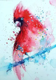 幻境水彩红鸟
