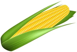 玉米免抠