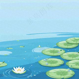 中国风夏日荷塘池白色荷花盛开手绘插画，立夏夏至大暑小暑