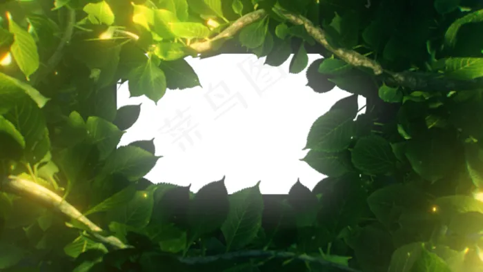 树叶展开片头模板