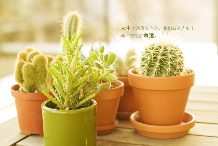 文艺小清新文字图片