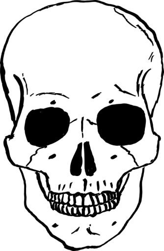 骷髅头免抠(522x800)