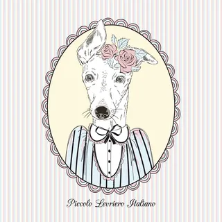 拟人动物 卡通头像